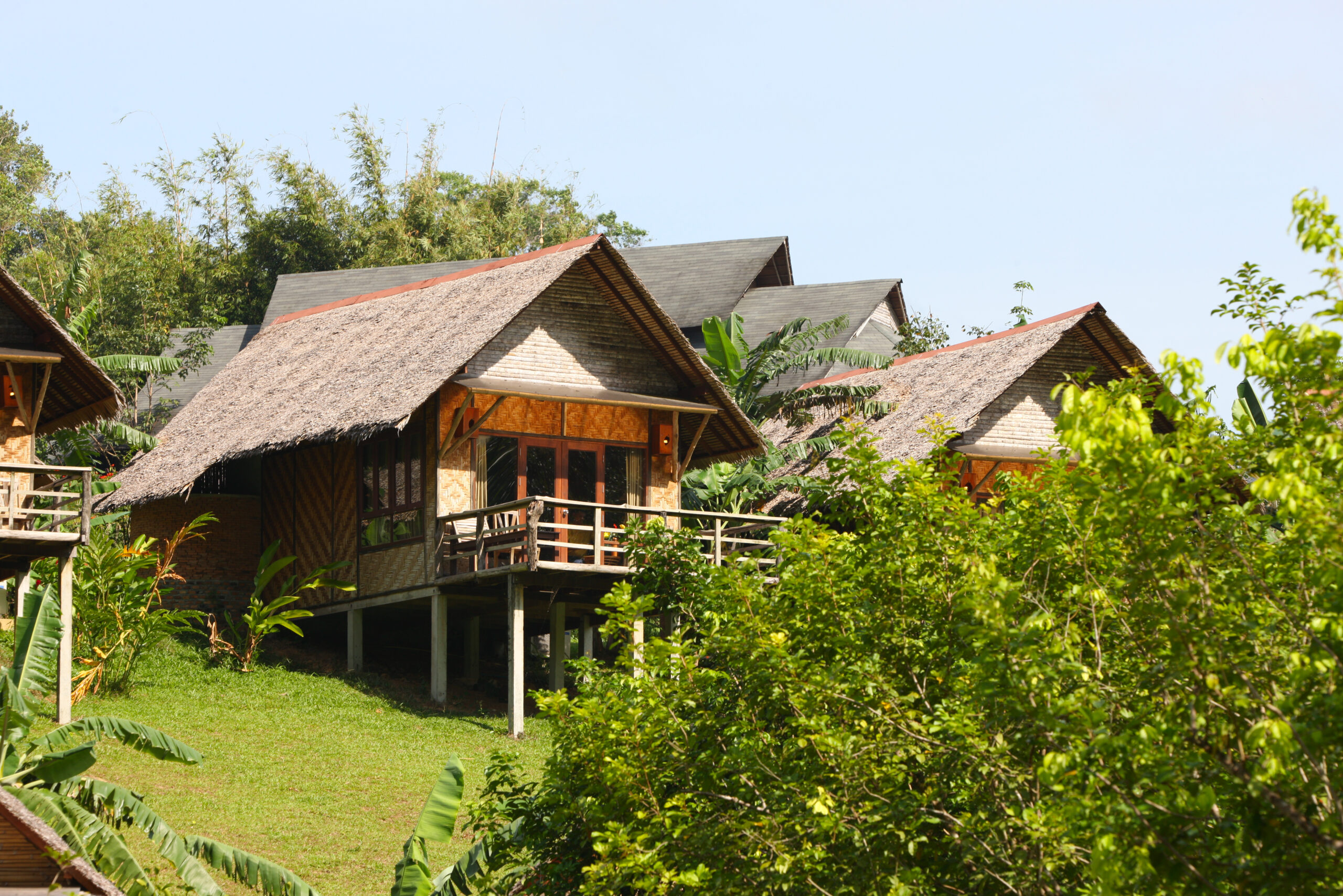 thatch roof